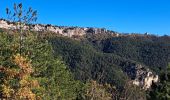 Excursión Senderismo Soubès - Cirque du Bout du monde au départ de Soulès - Photo 19