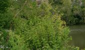 Percorso Marcia Arcambal - Pasturat Cahors J6+ - Photo 2
