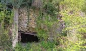 Randonnée Marche Esneux - entre Mery et bois Manant - Photo 5