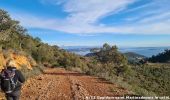 Tocht Stappen Saint-Raphaël - SityTrail - oppidum  - Photo 2