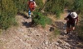 Trail Walking Entrages - Antrages-Le Cousson-les hautes bâties-Antrages - Photo 18