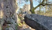 Trail Walking Fontainebleau - Circuit des Fontaines et Tour Denecourt - Photo 3