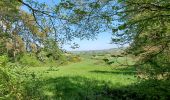 Trail On foot Gerpinnes - Gougnies - Photo 1