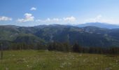 Randonnée Marche Péone - Tête du Garnier et lac de Beuil - Photo 1