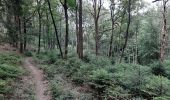 Trail Walking Viroinval - Forêt de Nismes - Regniessart - Photo 7