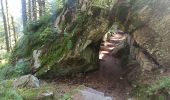 Excursión Bici de montaña Gérardmer - Gérardmer le Haut du Tôt  - Photo 4