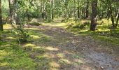 Randonnée Marche Maisse - Maisse - Forêt communale de Milly-la-Forêt - Photo 6