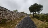 Trail Walking Leucate - mon sentier des pêcheurs  - Photo 1