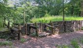 Trail Walking Houffalize - Le herou . Le chesle - Photo 18