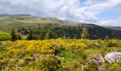 Trail Walking Albepierre-Bredons - Cascades . Albepierre / Col de Prat de Bouc - Photo 4