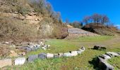 Trail Walking Comblain-au-Pont - mur géologique -03_04_2023 - Photo 6