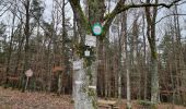 Tour Wandern Orschweiler - ARCA Orschwiller - Photo 3