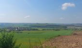 Tocht Elektrische fiets Capavenir-Vosges - Thaon-Damelevieres (100 kms) - Photo 2