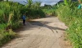 Trail Walking Le Lorrain - Boucle Seguineau 22 Mai - Photo 11