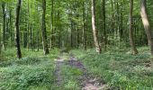 Trail Walking Villers-Cotterêts - en forêt de Retz_87_la Laie des Masures par la Route Chrétiennette - Photo 11