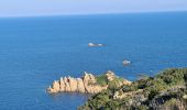 Excursión Senderismo Ramatuelle - Ramatuelle - de Bonne Terrasse au Rocher des Portes en passant par le phare - Photo 14