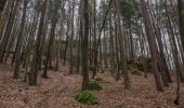 Percorso A piedi Neukirchen bei Sulzbach-Rosenberg - Rundwanderweg No.2 Neukirchen - Photo 1