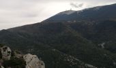 Tour Wandern Beaumont-du-Ventoux - le sommet de la plate - Photo 5