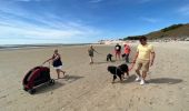 Trail Walking Berck - Berck - baie d’Authie - Photo 4