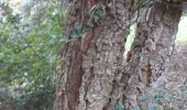 Trail Walking Cendras - montcalm - Photo 1