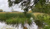 Tocht Stappen Pelt - De Wulp Hageven Grote Heide 24 km - Photo 10