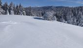 Tour Schneeschuhwandern La Pesse - L'Embossieux - Crêt de Nerbier  - Photo 4