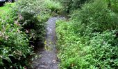 Trail On foot Adenau - Auf den Spuren der Ordensritter - Photo 6