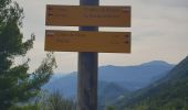 Tour Wandern Venterol - venterol - Photo 3