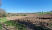 Trail Walking Callac - un tam tro Kallag 22 - Photo 4