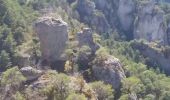 Excursión Senderismo Le Rozier - Les corniches des gorges de la Jonte et du Tarn - Photo 5