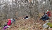 Percorso Marcia Proveysieux - L'Oeuillon de Proveyzieux et La Grotte de la Barre Mangin - Photo 9