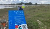 Tocht Te voet Zwolle - WNW IJsseldelta - Schelle -blauwe route - Photo 1