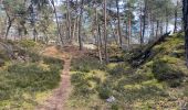 Trail Walking Fontainebleau - Fait TB boucle depuis maison ONF FBleau vers carrefour de Franchard et retour - Photo 17