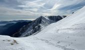 Trail Snowshoes Moulinet - Baisse Cavaline - Photo 11