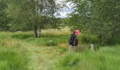 Tocht Stappen Saint-Merd-les-Oussines - RA2020 MIV Tour Tourbière Loigeroux - Photo 4