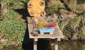 Trail Walking Molsheim - Le long de la Bruche et de son canal - Photo 6