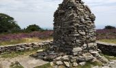 Trail Walking Saint-Martin-de-l'Arçon - le Caroux - Photo 12