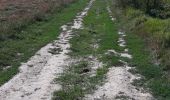 Trail Walking Engis - clermont-sous-huy  - Photo 1