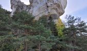 Excursión Senderismo Le Rozier - les corniches du Méjean (la Jonte) - Photo 10