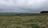 Tour Wandern Marchastel - [06] Compostelle : de Marchastel / Nasbinals à Saint-Chély-d'Aubrac - Photo 18