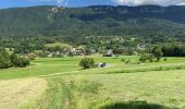 Randonnée Marche Viuz-la-Chiésaz - Circuit de Viuz La Chiesaz - Photo 2