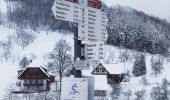 Percorso A piedi Lautenbach - Lautenbacher Hexensteig - Photo 3