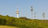 Trail On foot Unknown - Sophienalpe - Scheiblingstein - Photo 1