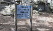 Trail Walking Fontainebleau - Gorges de Franchard ac Smith  - Photo 1