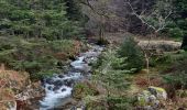 Tour Wandern Woll - lac de blanchemer  - Photo 3