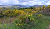 Tour Wandern Rosis - Caroux - Photo 12