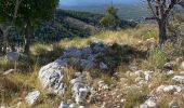 Randonnée Marche Saint-Vallier-de-Thiey - Col de la faye / col du ferie  - Photo 2