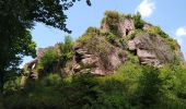 Tour Wandern Ottrott - Boucle Sainte Odile & mur Paien - Photo 1