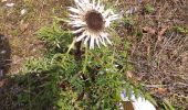 Tour Wandern Rochejean - Mont d'or  - Photo 2