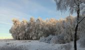 Randonnée Marche Spa - tour de la fagne de Malchamps dans la neige  - Photo 15